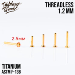 Ножка без резьбы Gold mini Implant Grade 1.2 мм титан+PVD, основа 2.5 мм